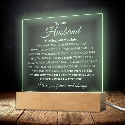 To my Husband Acrylic Plaque Gift from Wife Anniversary gift for Husband Birthday Romantic Gift Christmas Valentine's day keepsake gift